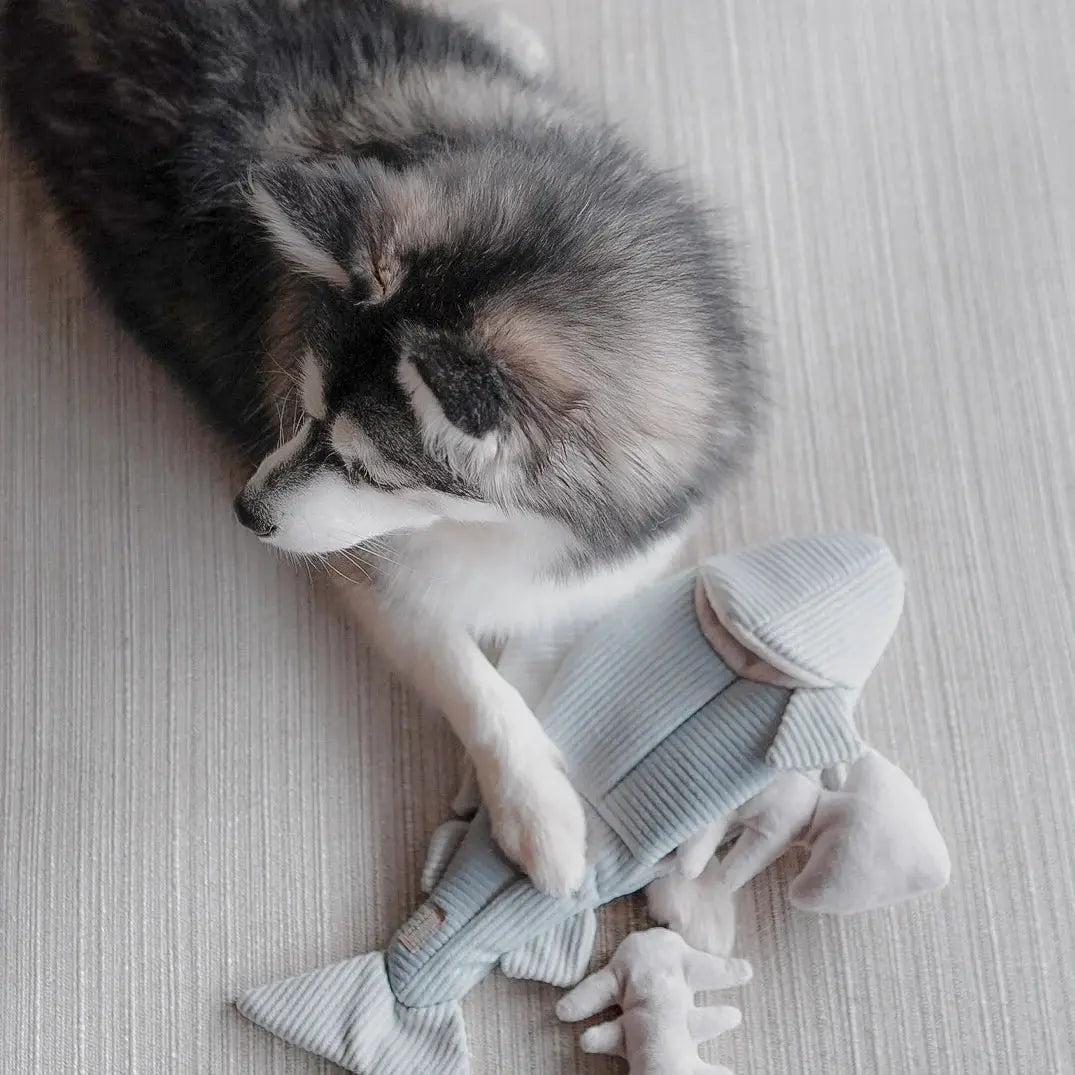 Lambwolf Collective Trout Squeaky Interactive Dog Toys - Talis Us