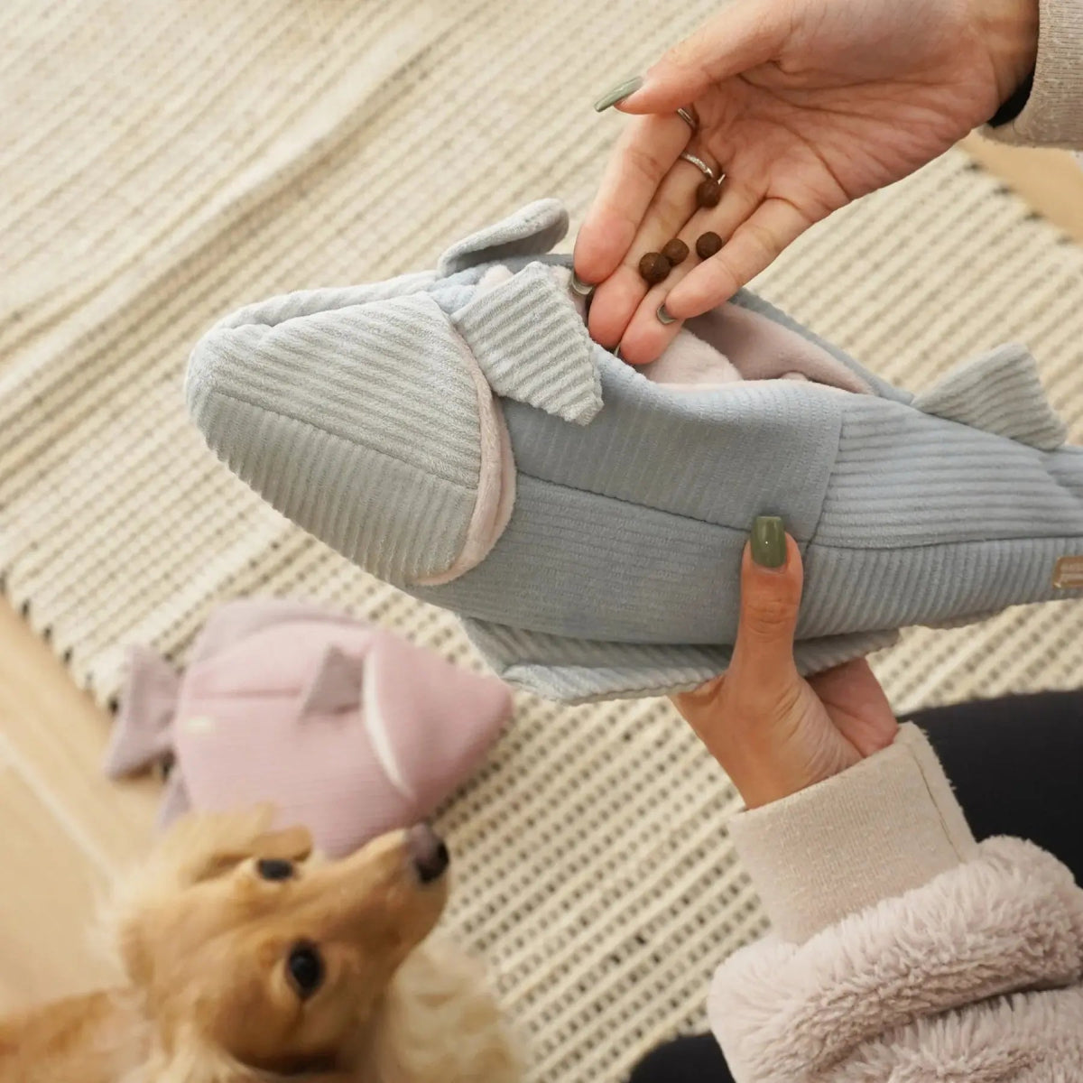 Lambwolf Collective Trout Squeaky Interactive Dog Toys - Talis Us