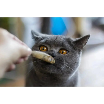 Loving Pets Australia Whole Little Fish Cat Treats 5.64 oz - Talis Us