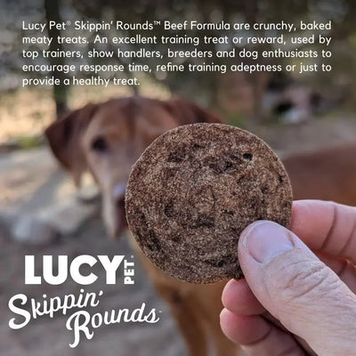 Lucy Pet Products Skippin' Rounds Beef Dog Treat 8 oz - Talis Us