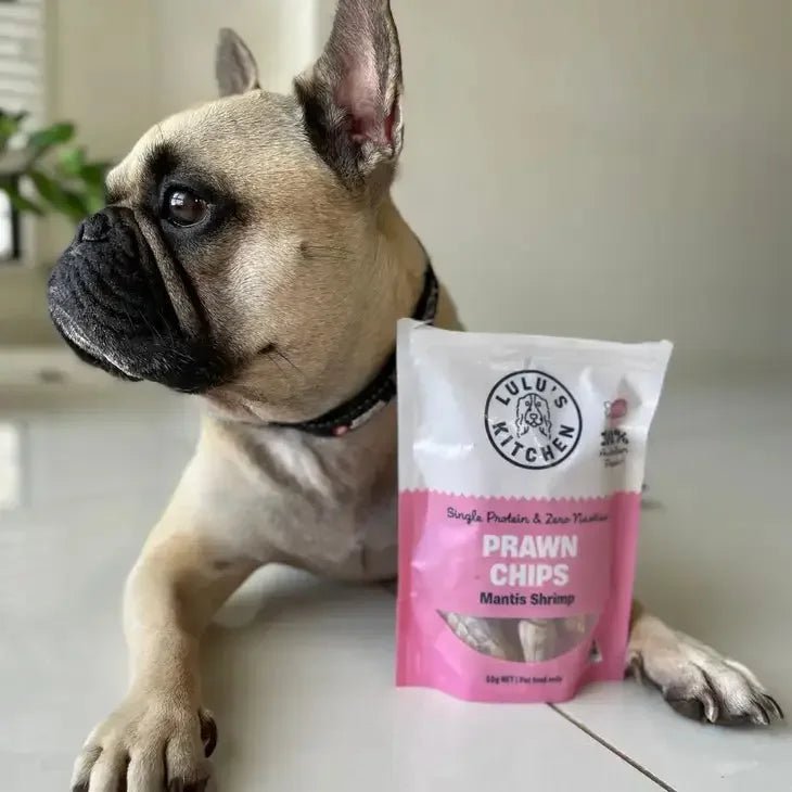 Lulu's Kitchen Prawn Chips Mantis Aussie Shrimp Dog Treats 5.6 oz - Talis Us