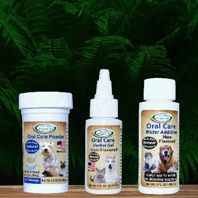 Mad About Organics Flavorless Dental Kit for Pets - Talis Us