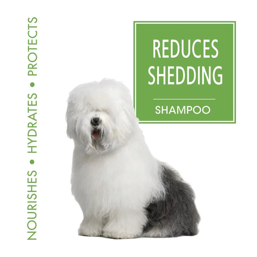 Four Paws dog shedding shampoo designed to nourish, hydrate, and protect your pet's coat