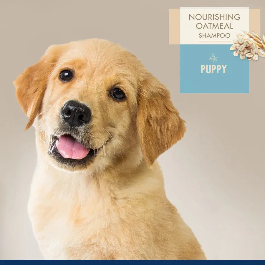 Four Paws oatmeal puppy shampoo for a shiny and healthy coat with nourishing properties