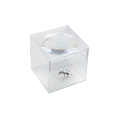 Magnifier box – 3x – 30mm - Talis Us