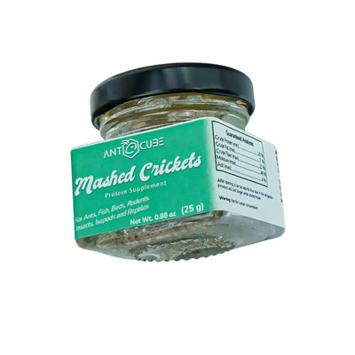 Mashed Crickets - Talis Us