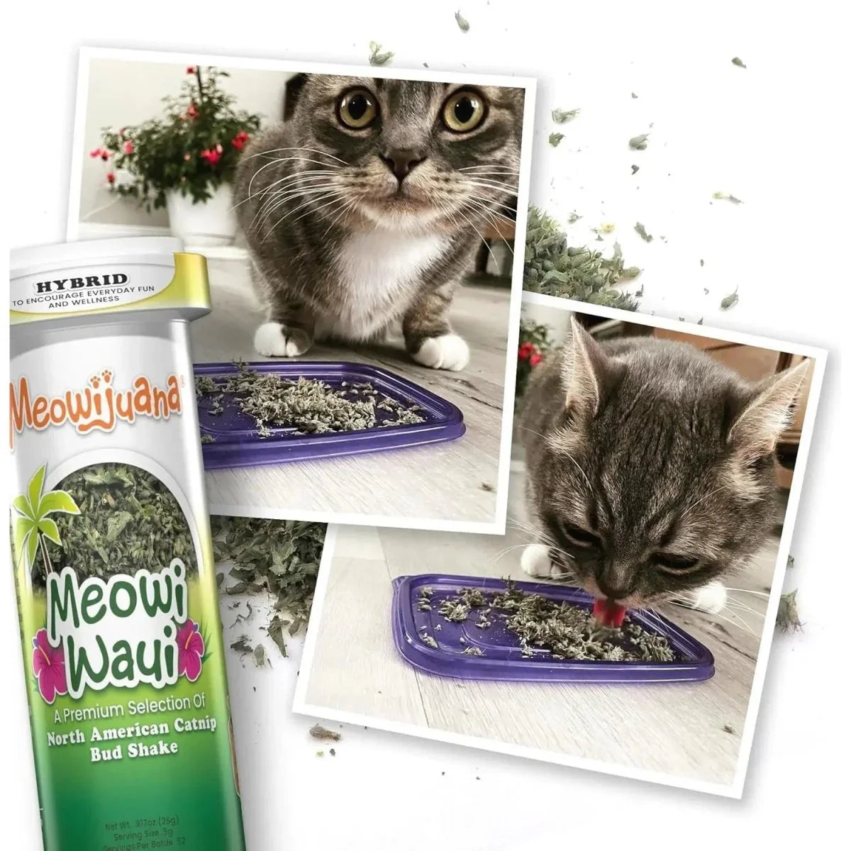 Meowijuana Get Kickin Spicy Pickle Kicker Cat Toy - Talis Us