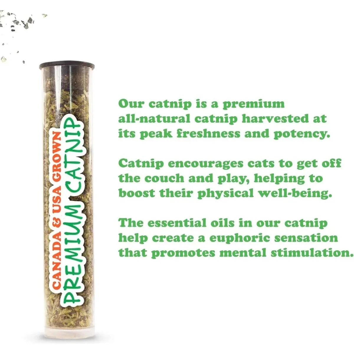 Meowijuana Jump 'n' Jamb Deep Sea Squid Cat Toy - Talis Us