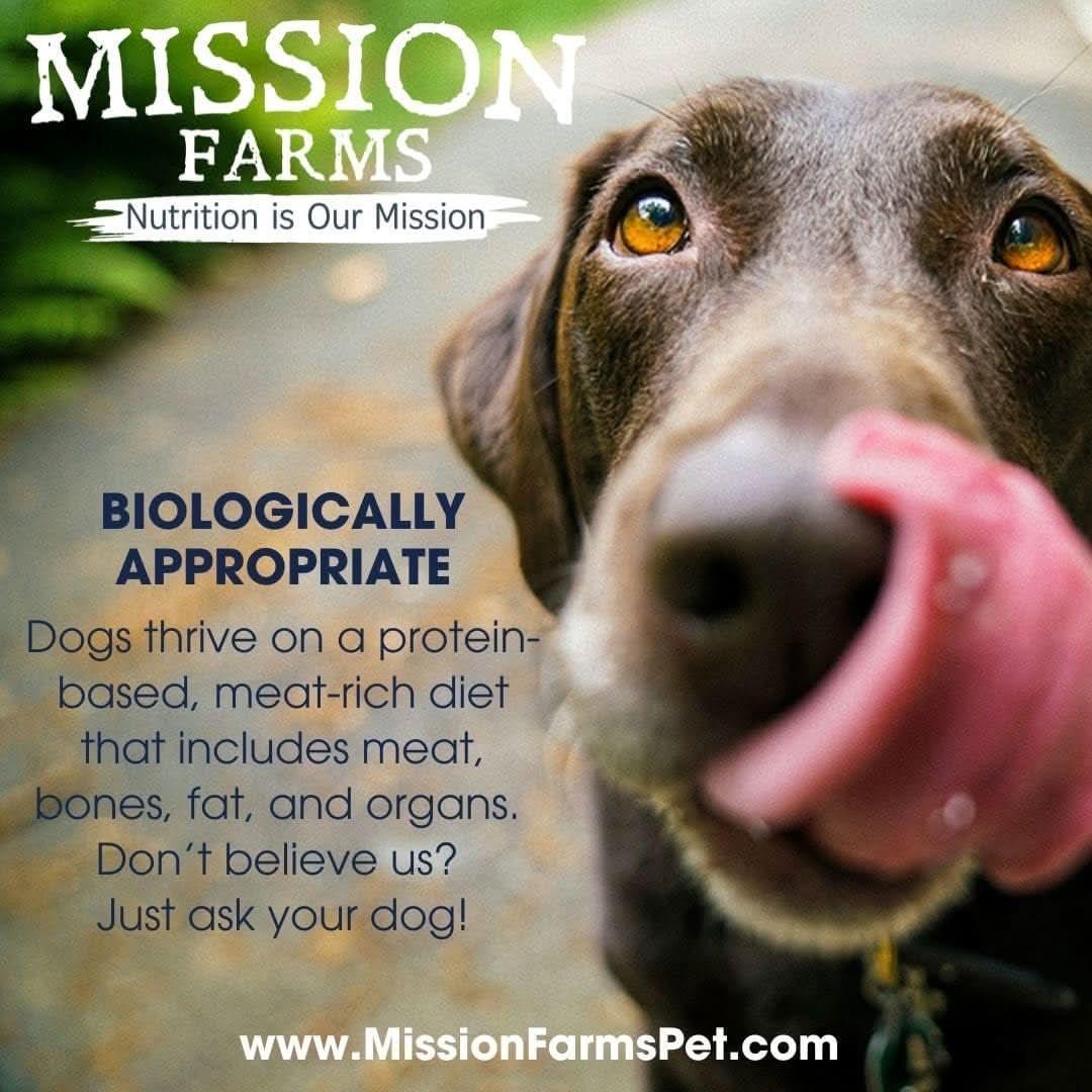 Happy dog licking its lips next to Mission Farms logo for Bison Liver Freeze-Dried Dog Treats