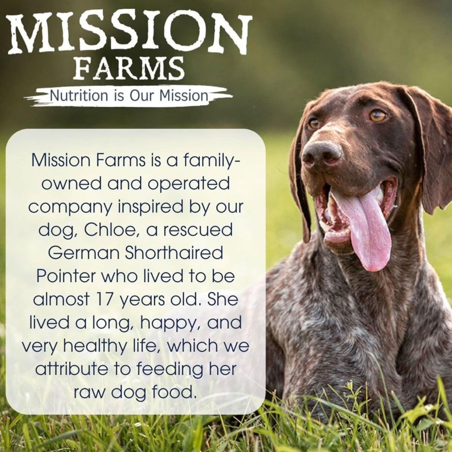 Mission Farms Freeze-Dried Dog Food featuring healthy ingredients inspired by a rescue dog