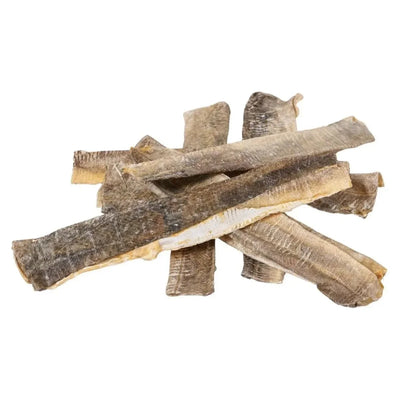 Momentum Carnivore Nutrition Cod Flattie Dog Chews - Talis Us