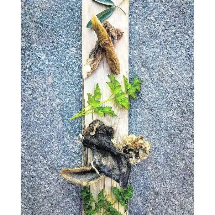 Naked Beasts Lamb Ears All Natural Dog Treats - Talis Us