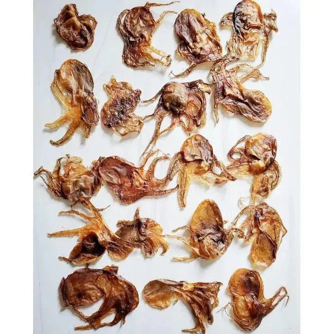 Naked Beasts Wild Caught Baby Octopus Exotic Protein Dog Treats - Talis Us