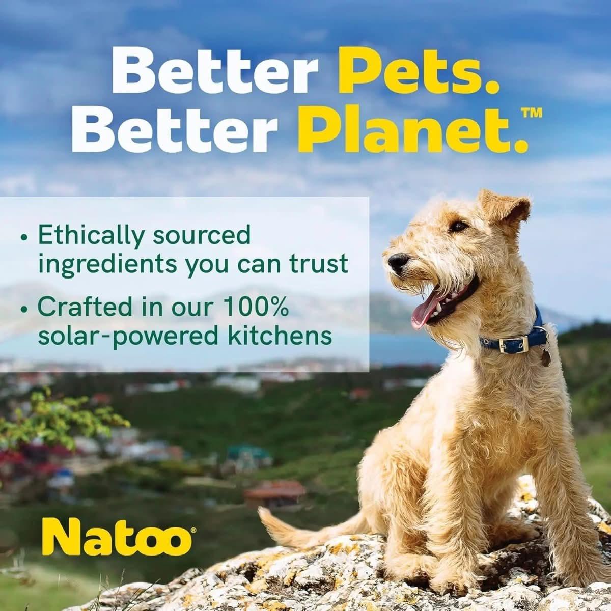 Natoo Biscuits with Oats Banana and Honey for Skin and Coat Health - Talis Us