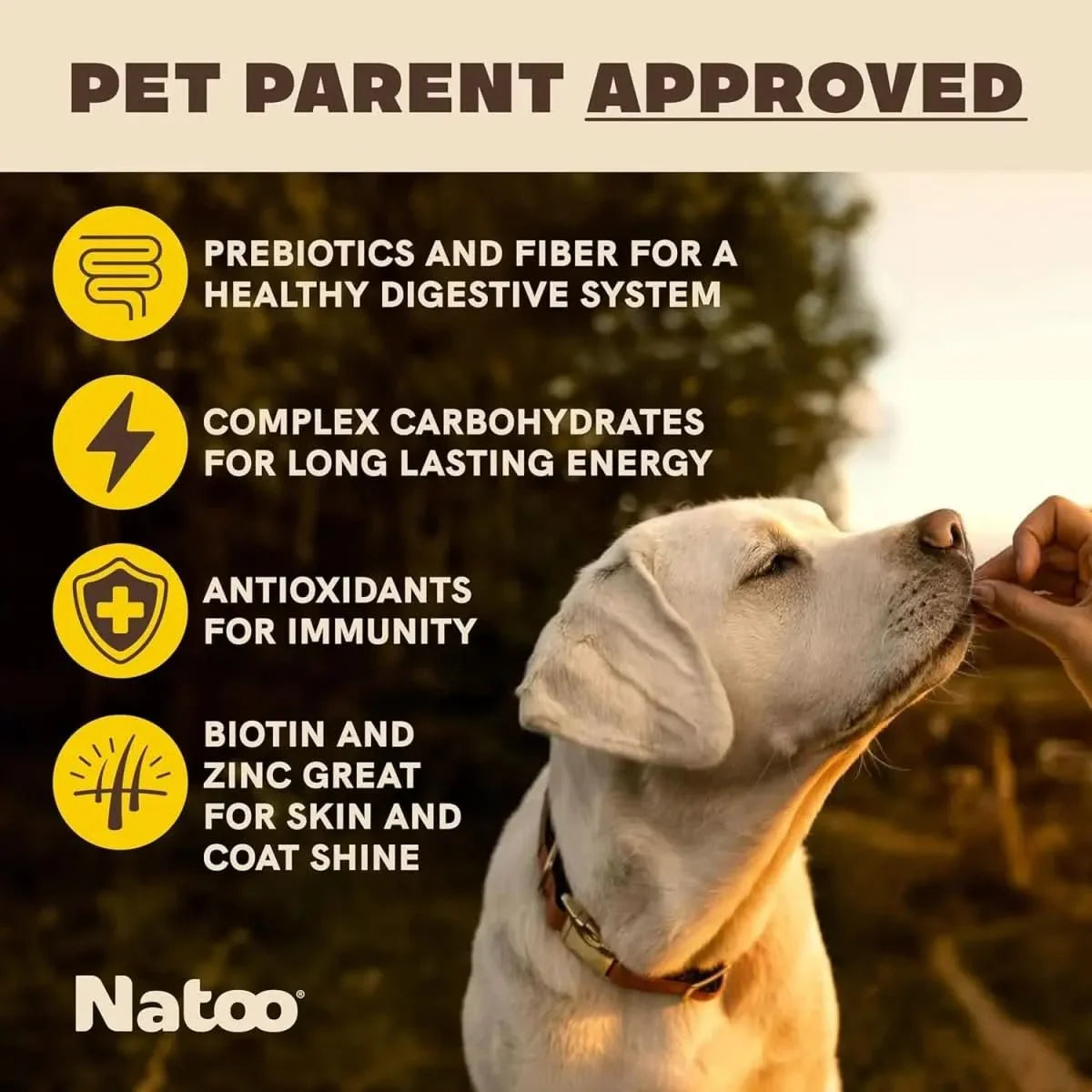 Natoo Biscuits with Oats Banana and Honey for Skin and Coat Health - Talis Us