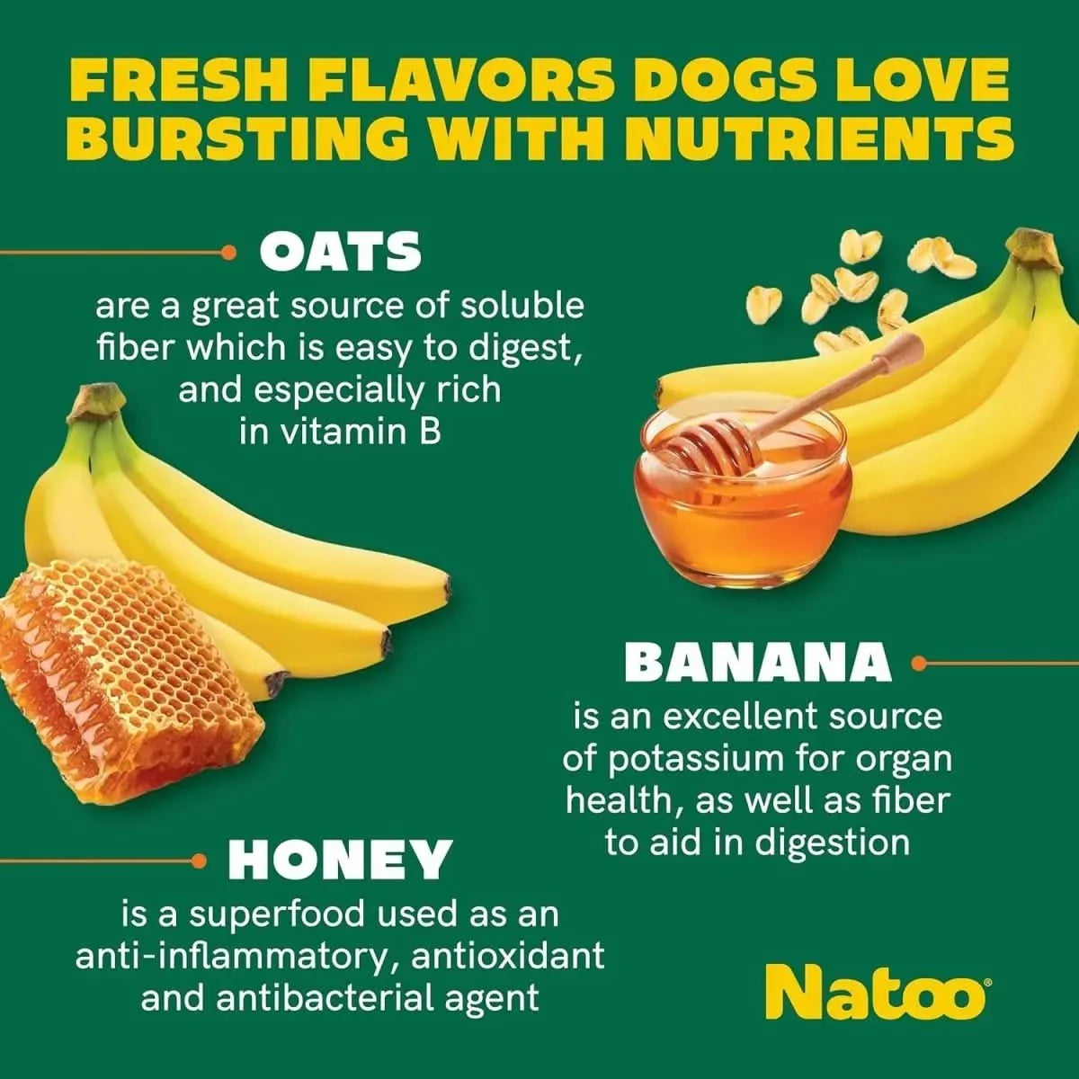 Natoo Biscuits with Oats Banana and Honey for Skin and Coat Health - Talis Us