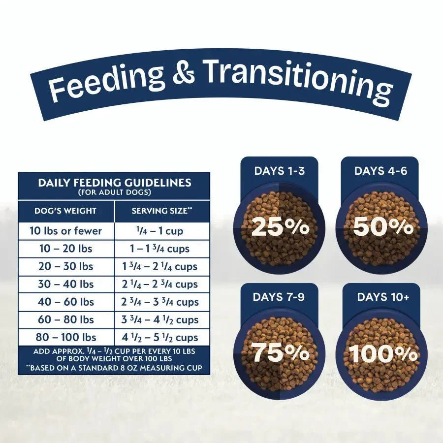 Natural Balance Health Protection Adult Lamb, Rice & Pumpkin Dry Dog Food - Talis Us