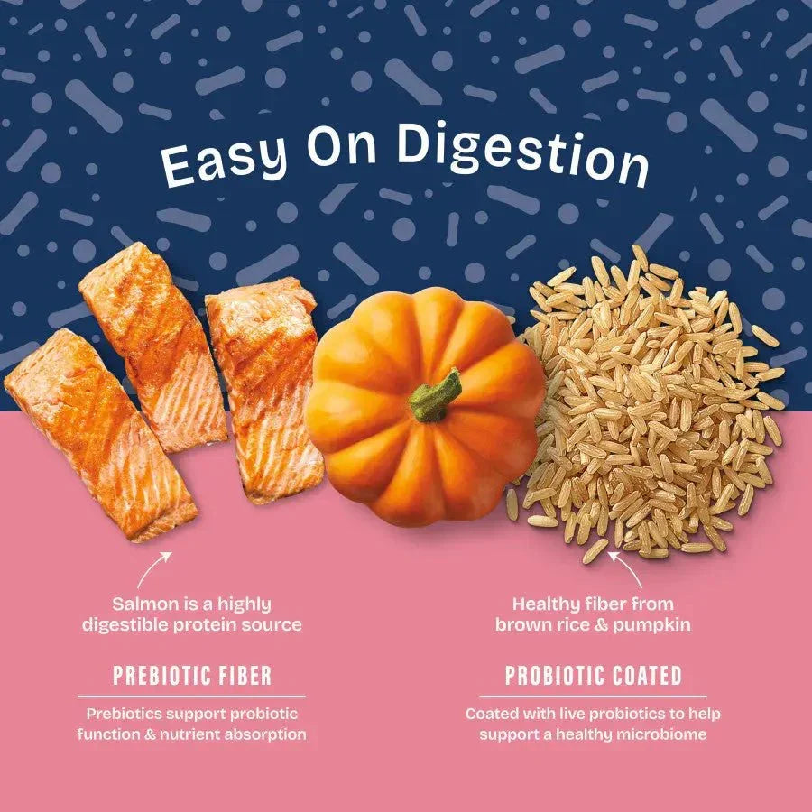 Natural Balance Health Protection Adult Salmon, Brown Rice & Pumpkin Dry Dog Food - Talis Us