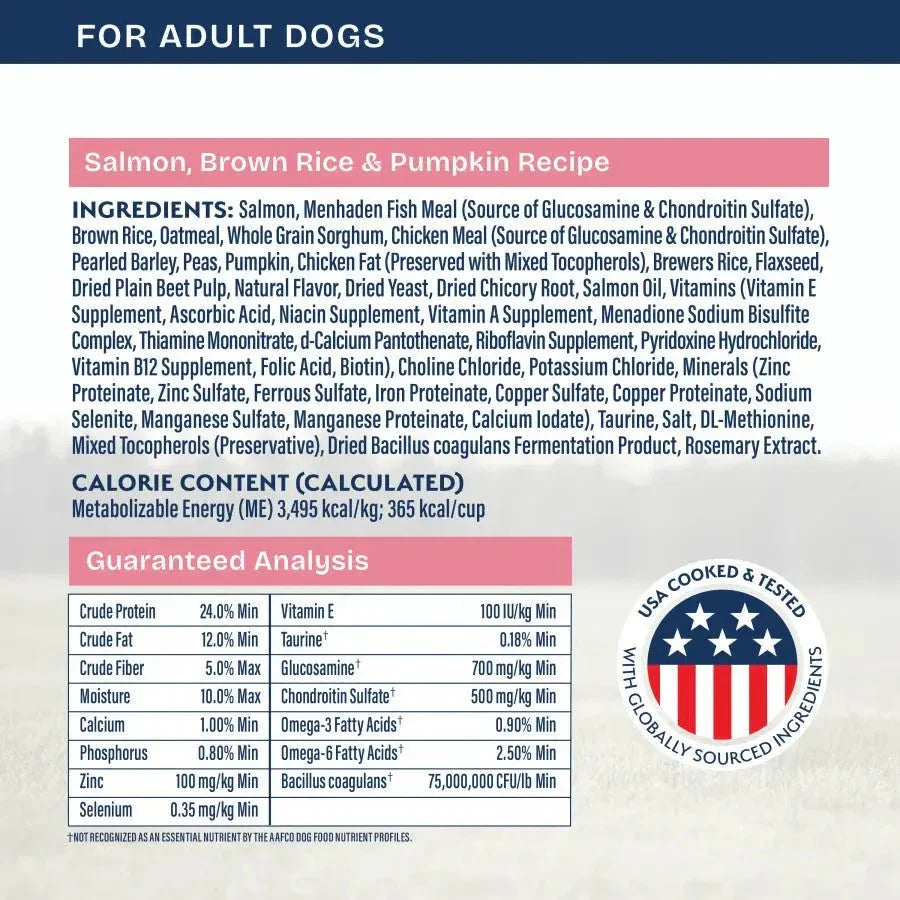 Natural Balance Health Protection Adult Salmon, Brown Rice & Pumpkin Dry Dog Food - Talis Us
