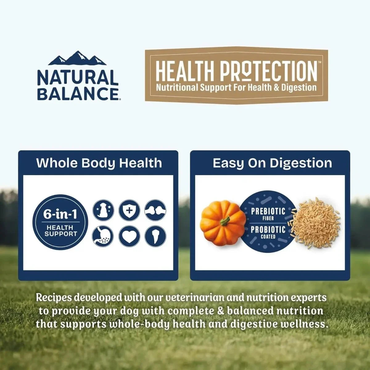 Natural Balance Health Protection Real Chicken, Brown Rice & Pumpkin Puppy Dry Dog Food - Talis Us