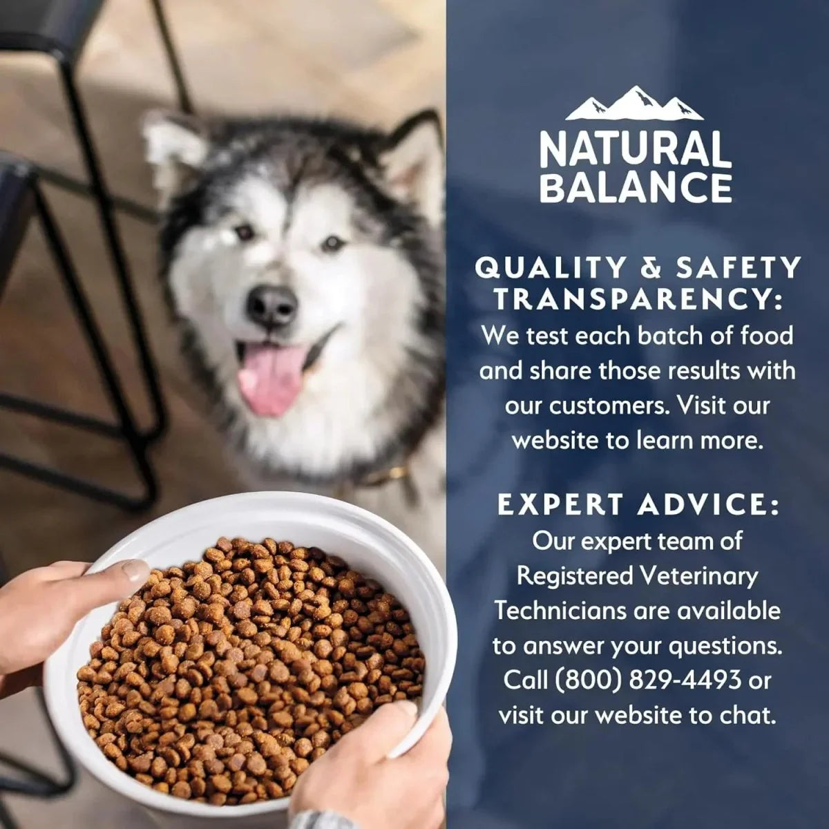 Natural Balance Health Protection Real Chicken, Brown Rice & Pumpkin Puppy Dry Dog Food - Talis Us