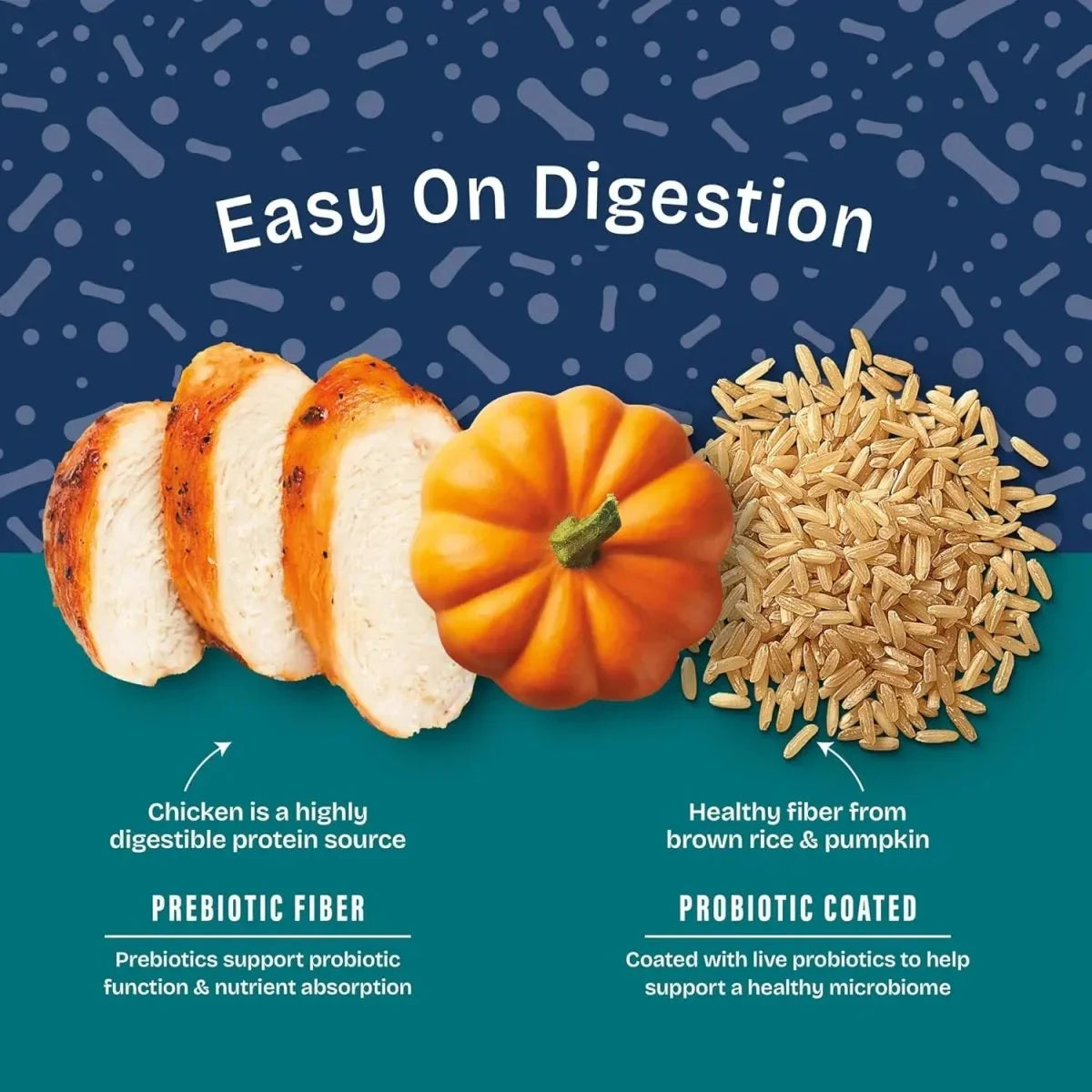 Natural Balance Health Protection Real Chicken, Brown Rice & Pumpkin Puppy Dry Dog Food - Talis Us