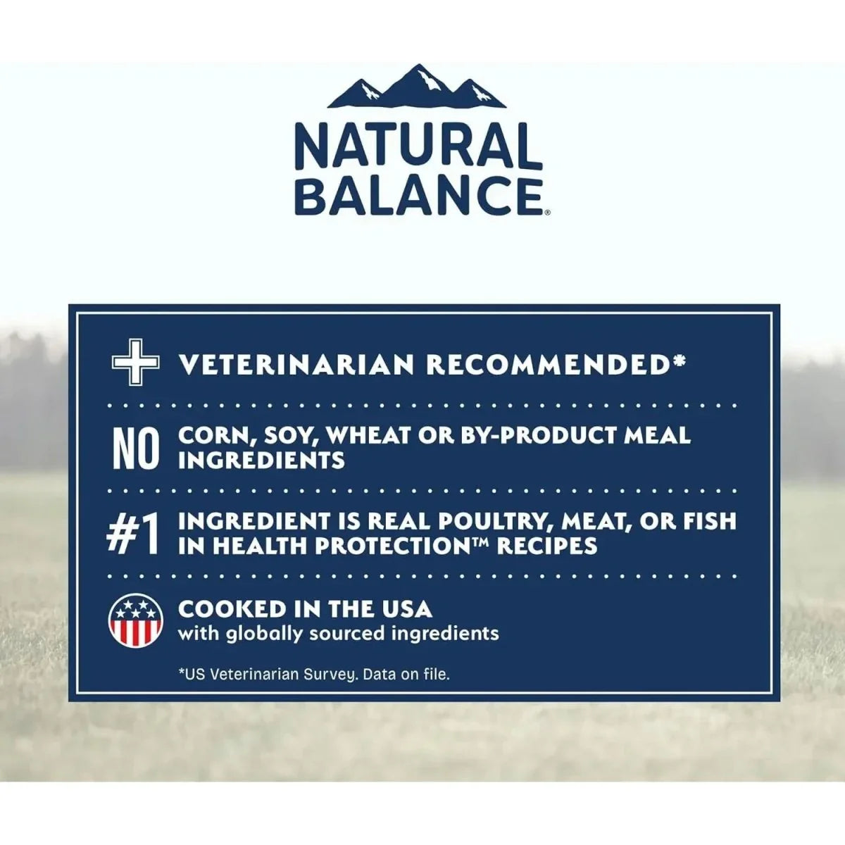 Natural Balance Health Protection Real Chicken, Brown Rice & Pumpkin Puppy Dry Dog Food - Talis Us