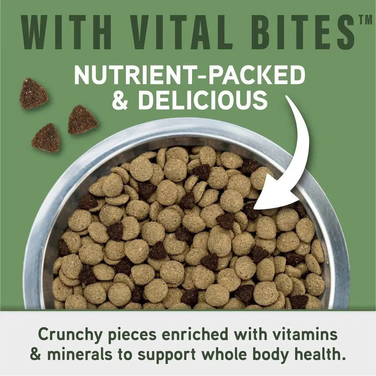 Natural Balance Specialized Nutrition Digestive & Immune Health Adult Lamb & Oatmeal Dry Dog Food - Talis Us