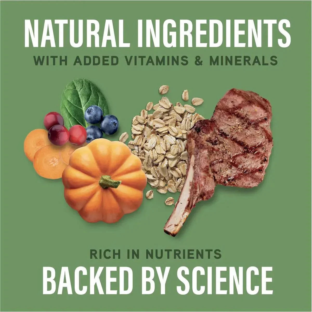 Natural Balance Specialized Nutrition Digestive & Immune Health Adult Lamb & Oatmeal Dry Dog Food - Talis Us