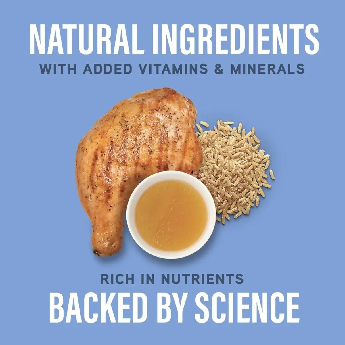 Natural Balance Specialized Nutrition Joint & Muscle Health Adult Chicken & Brown Rice Formula Wet Dog Food 12ea/12.7 oz - Talis Us