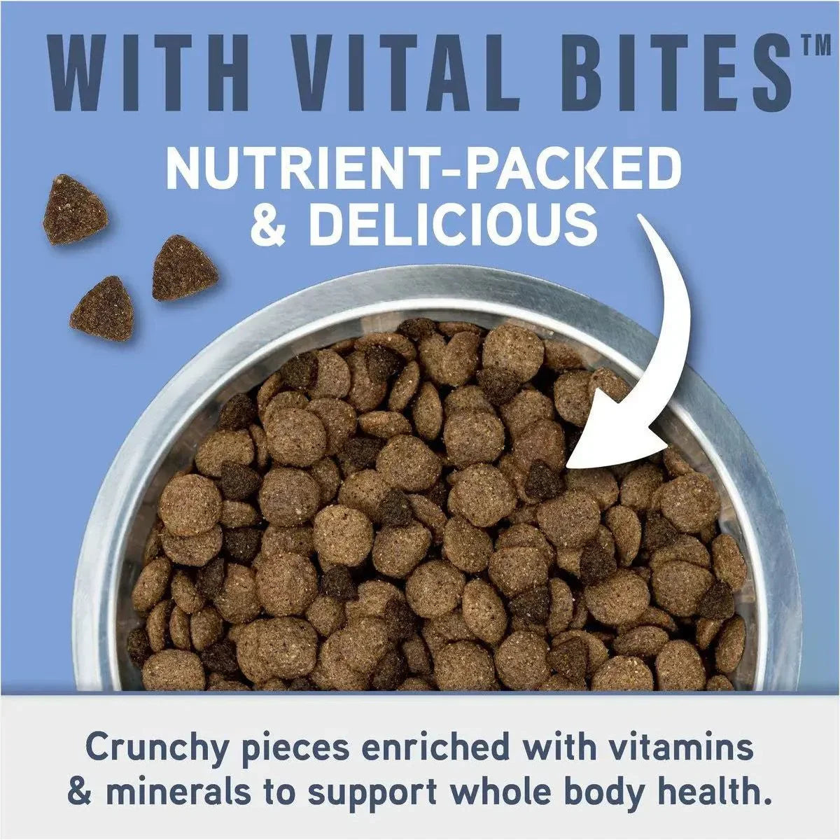 Natural Balance Specialized Nutrition Joint & Muscle Health Chicken & Oatmeal Dry Dog Food - Talis Us
