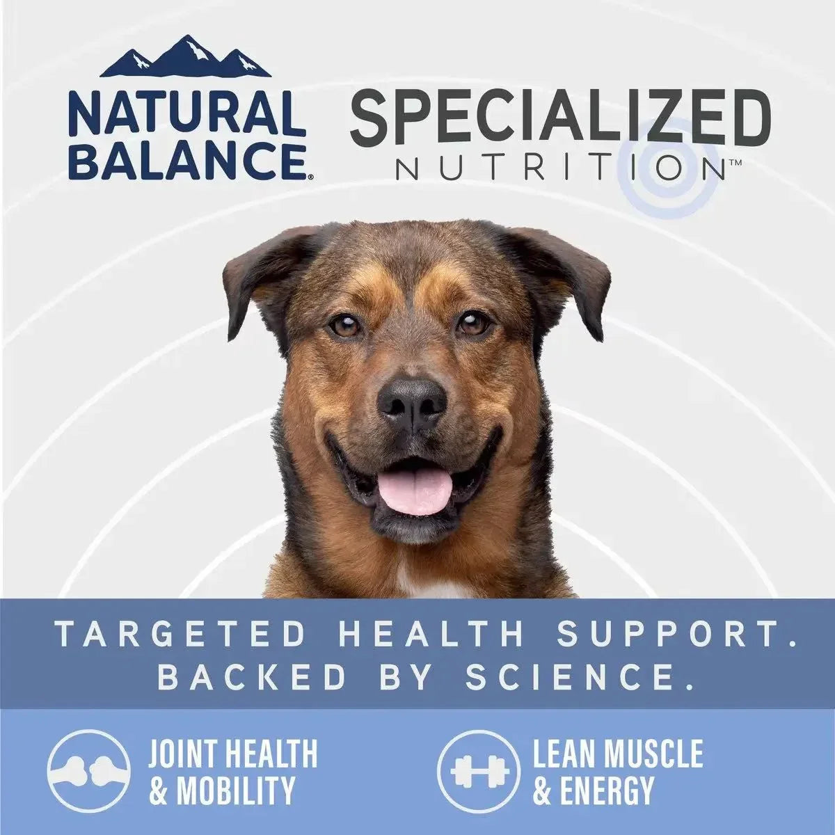 Natural Balance Specialized Nutrition Joint & Muscle Health Chicken & Oatmeal Dry Dog Food - Talis Us
