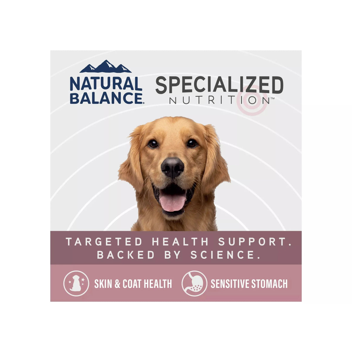 Natural Balance Specialized Nutrition Sensitive Skin & Stomach Formula Adult Salmon & Brown Rice Wet Dog Food - Talis Us