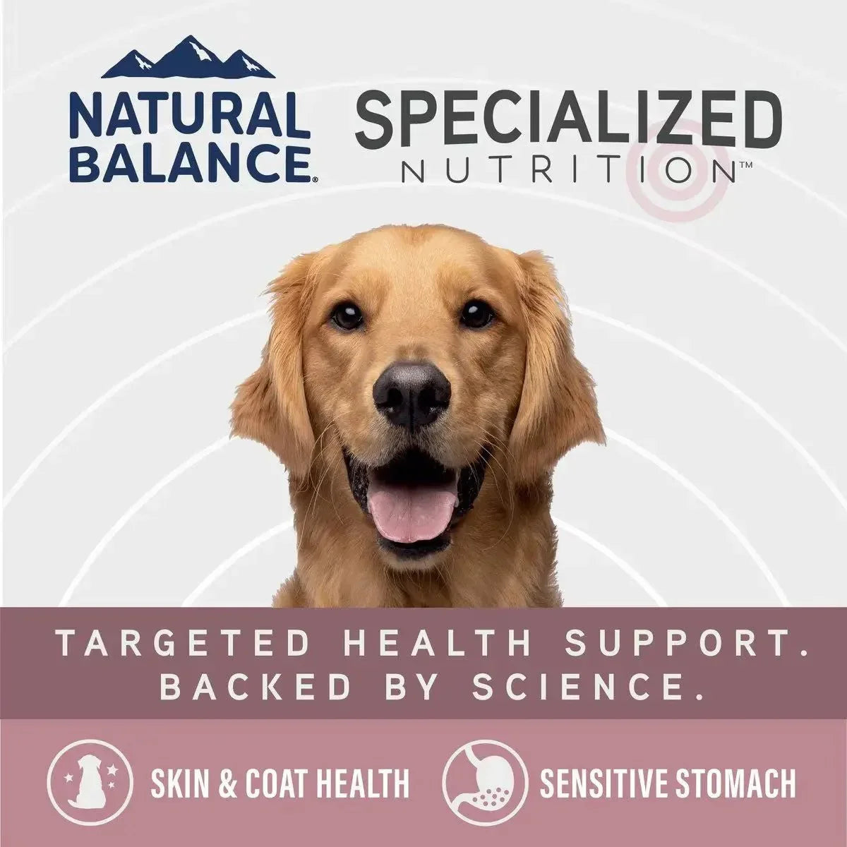 Natural Balance Specialized Nutrition Sensitive Skin & Stomach Salmon & Oatmeal Dry Dog Food - Talis Us