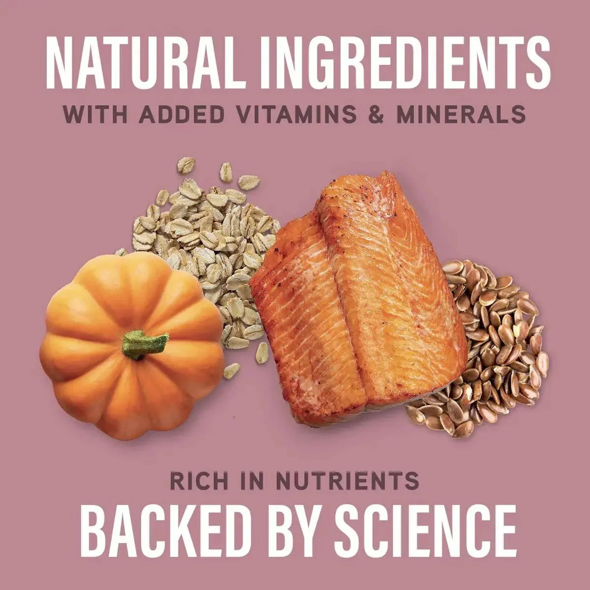 Natural Balance Specialized Nutrition Sensitive Skin & Stomach Salmon & Oatmeal Dry Dog Food - Talis Us