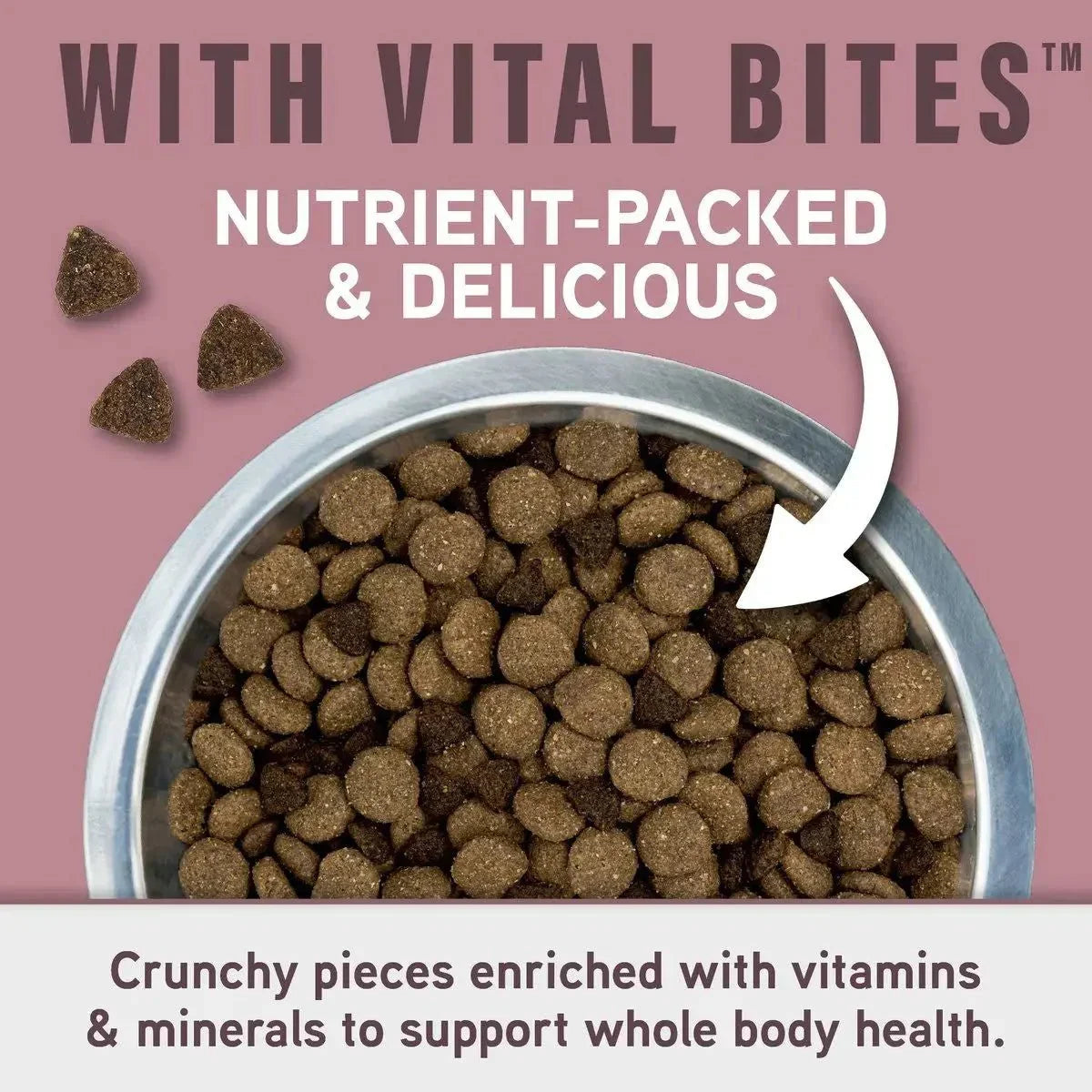 Natural Balance Specialized Nutrition Sensitive Skin & Stomach Salmon & Oatmeal Dry Dog Food - Talis Us