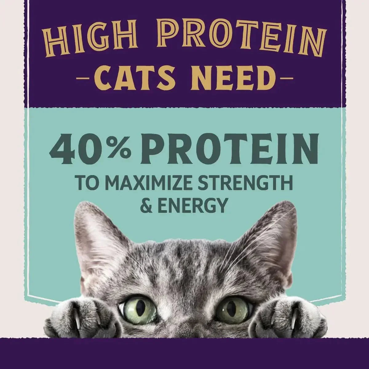Natural Balance Ultra Protein Plus Immune & Digestive Health Chicken Meal Dry Cat Food - Talis Us