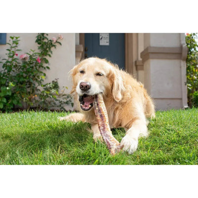 Natural Cravings USA Bison Trachea Dog Treats 12" - 13" Half canoes - Talis Us