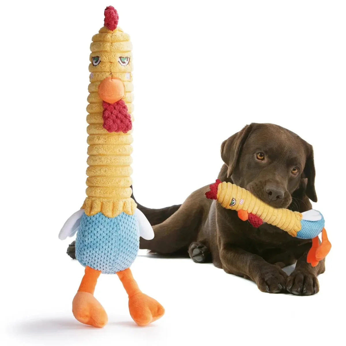 Nocciola 3 - in - 1 Chicken Dog Toy with Rubber Squeaker - Talis Us