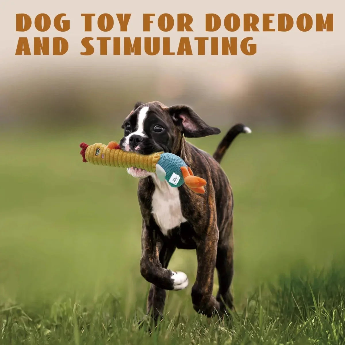 Nocciola 3 - in - 1 Chicken Dog Toy with Rubber Squeaker - Talis Us