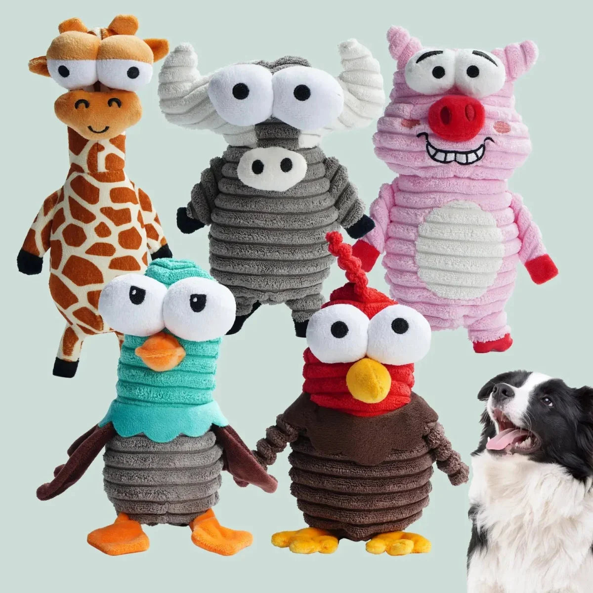 Nocciola 5 - Pack Funny Squeaky Dog Toys - Endless Entertainment for Your Pup - Talis Us