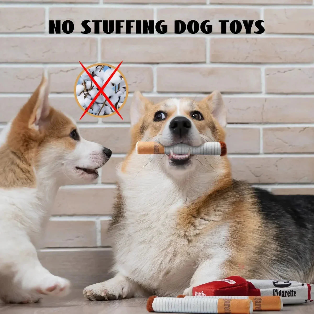 Nocciola Durable Giggle Toys for Puppies & Small to Medium Dogs - Talis Us