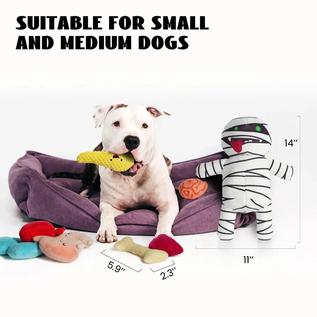 Nocciola Durable, Interactive Plush Toy for Dogs with 8 Organ Squeakers - Talis Us