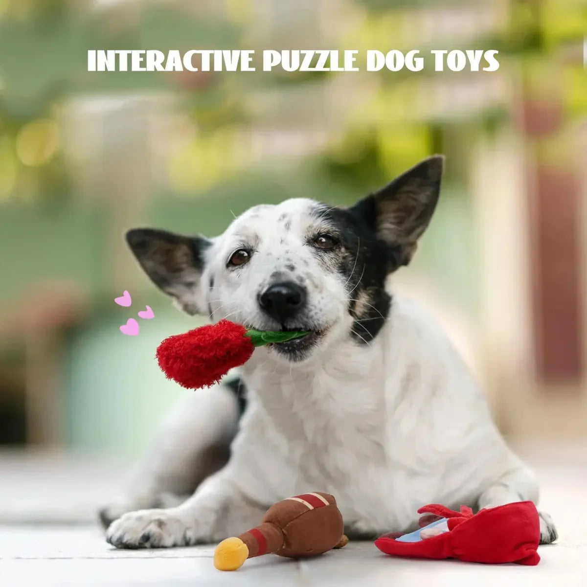 Nocciola Interactive Hide - and - Seek Fairy Tale Dog Toys - Talis Us