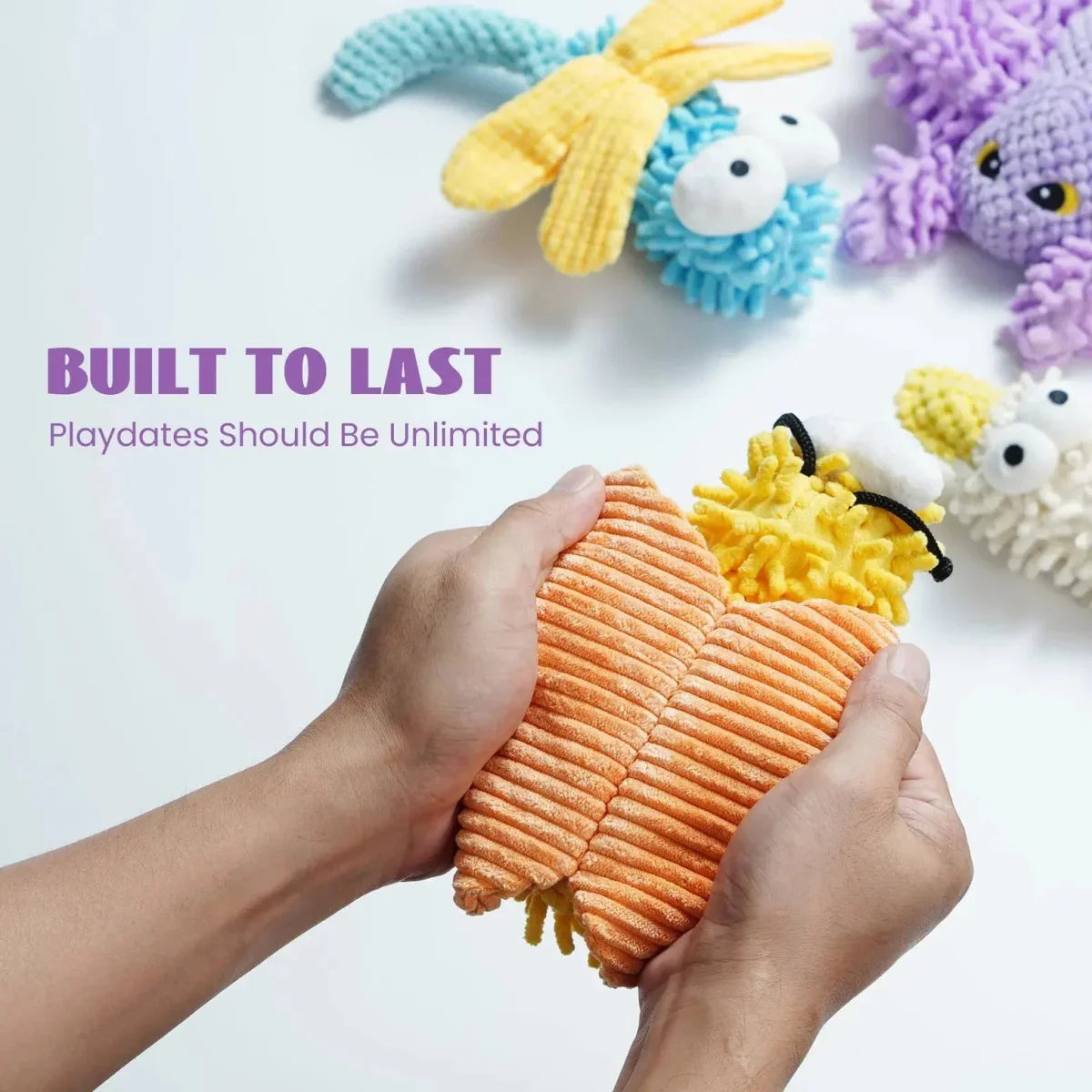 Nocciola Plush Chenille Squeaky Dog Toys - 5 Pack for Durable Fun - Talis Us