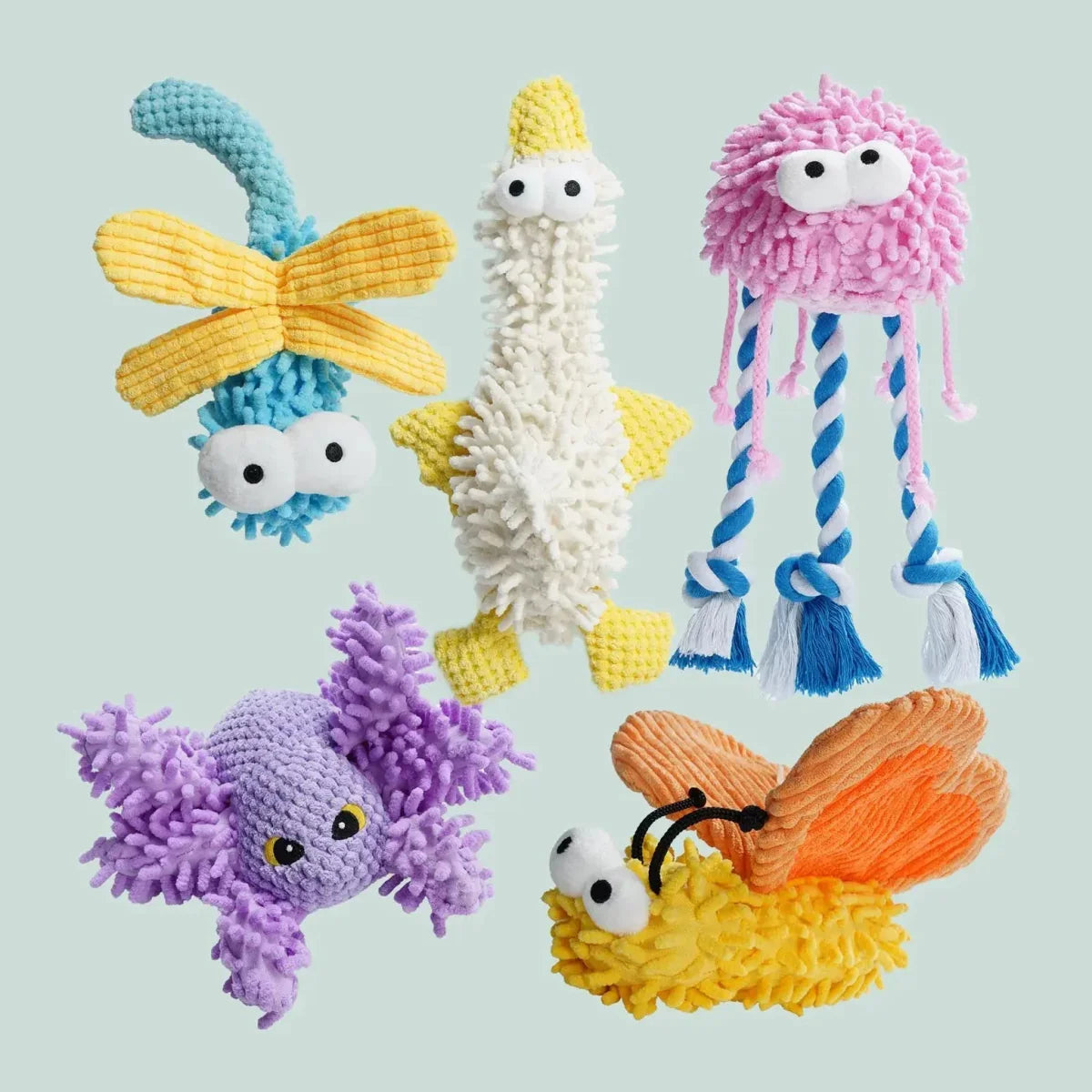 Nocciola Plush Chenille Squeaky Dog Toys - 5 Pack for Durable Fun - Talis Us