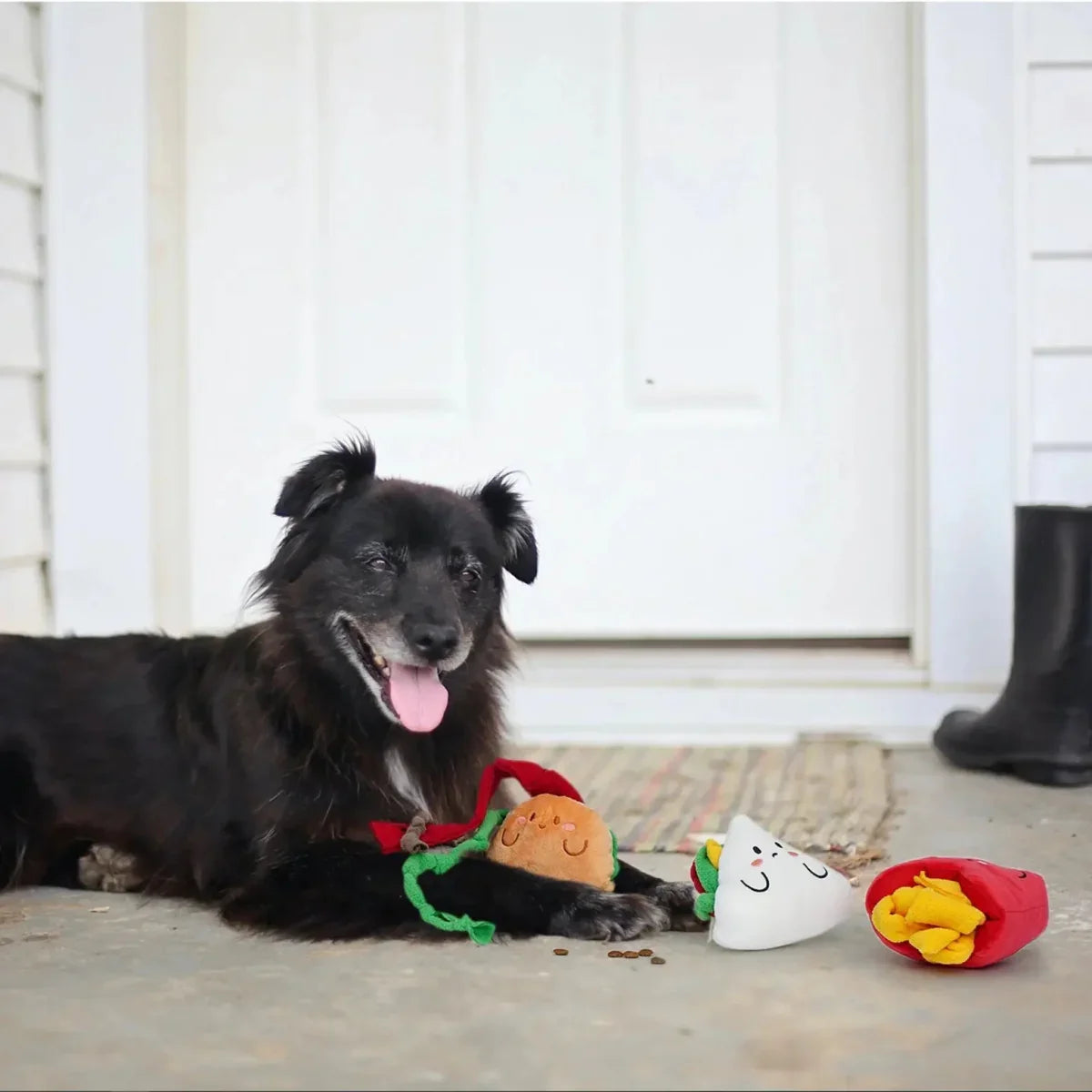 Nocciola Snuffle Toy Collection – Hide - and - Seek Fun for Puppies - Talis Us