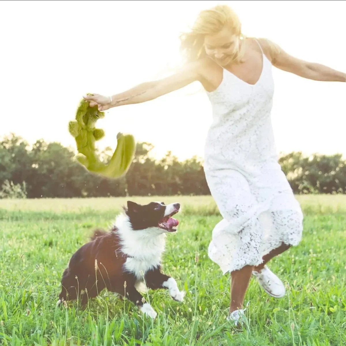 Nocciola Stuffing - Free Plush Dog Toys with Sound & Crinkle Fun - Talis Us