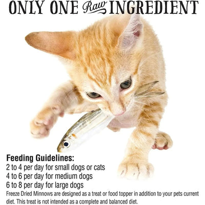 Northwest Naturals Minnows Freeze - Dried Treats for Dogs and Cats - Talis Us
