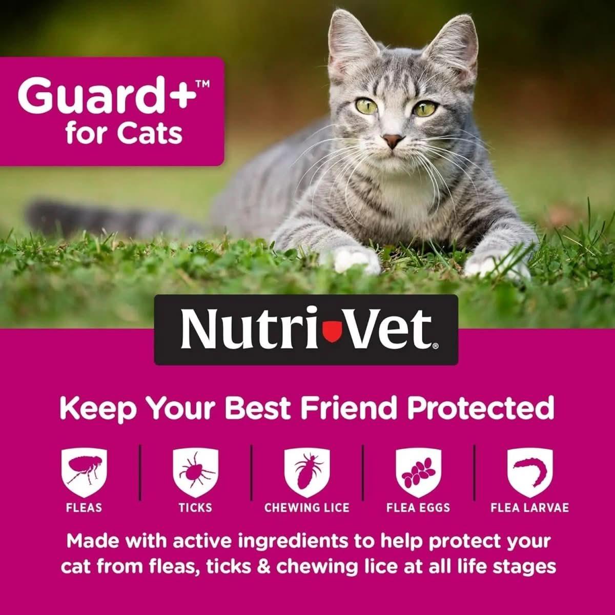 Nutri - Vet Guard Plus Flea & Tick Treatment for Cats 3 pk - Talis Us